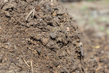 dry, fine fertilizer from a cow