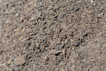 dry, fine fertilizer from a cow