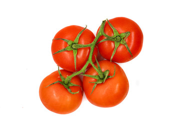 red tomatoes on a white background on a branch