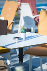 Cactus on a table in a coffee shop.