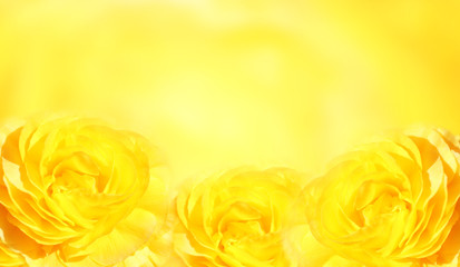 Banner with three yellow roses