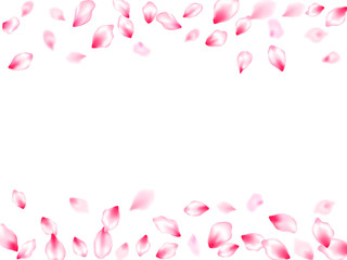 Japanese cherry blossom pink flying petals