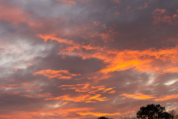 夕焼け　夕陽　夕焼け雲