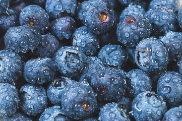 fresh blueberries with water drops, macro, background image