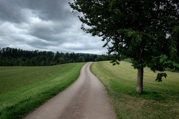 An empty country road through the green fields