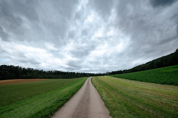 Fototapeta na wymiar An empty country road through the green fields