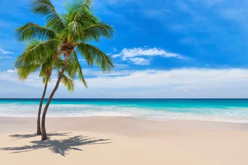 Fotobehang Zonnig wit zandstrand met kokospalm en turquoise zee. Zomervakantie en tropisch strand concept. © lucky-photo