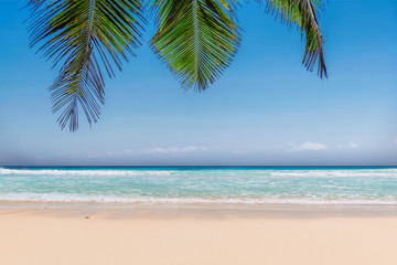 Fototapeta na wymiar Tropical beach background. Summer vacation and tropical beach concept.