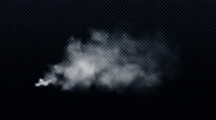 Realistic white smoke or dust cloud isolated on transparent background. Cloudiness or smog. Vector illustration. © Дарья Михайлова