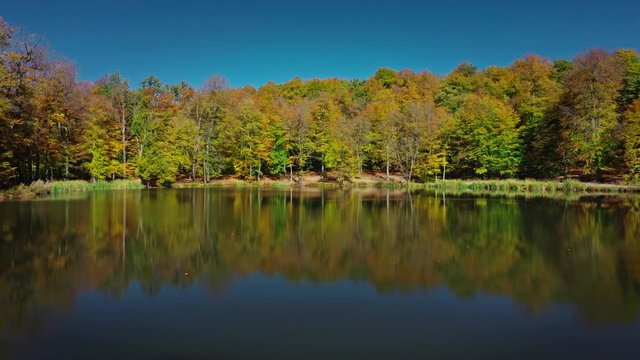 Aerial drone pan shot right to left of autumn forest trees near Lake Sevan in Armenia under bright blue sky. Colourful forest and water of Gosh Lake in armenian mountains in sunny day