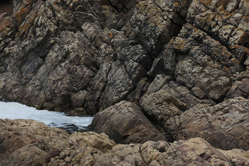 Textured rock face on the shore