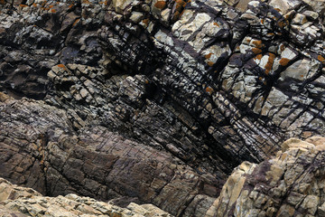 Textured rock face on the shore