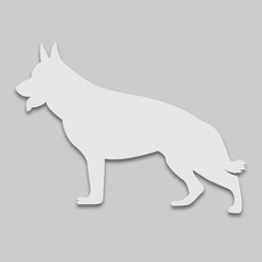 dog shepherd in a light tone