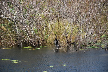 Everglades National Park, Florida
