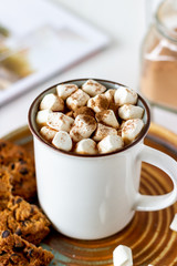 Hot chocolate with marshmallows in a white mug on a white background. Recipes.