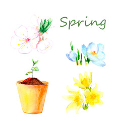 watercolor drawings - spring flowers, a set of first flowers