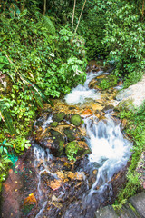 Naklejka na ściany i meble One of the many streams that flow into Urubamba River near to Machu Picchu , Peru.