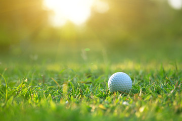 golf ball is on a green lawn in a beautiful golf course