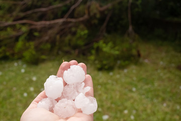 Fallen tree and hands holding large hailstones after severe hailstorm in Sydney, Australia