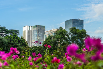 beautiful flowers front of modern glass office building
