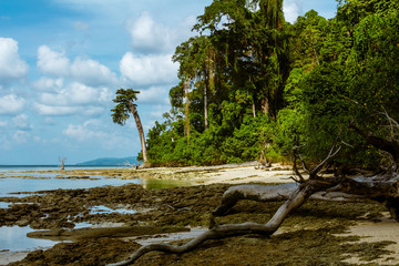 Beach on Havelock Island, Andaman and Nicobar Island, India