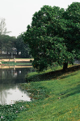 Fototapeta na wymiar Lake view at Bandar Baru Bangi, Selangor, Malaysia.