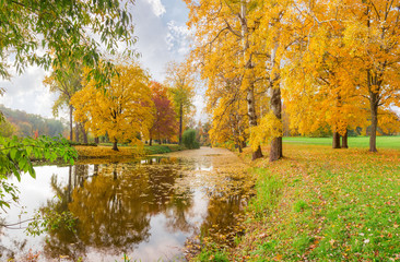 Scenic lake in autumn park with trees on shores