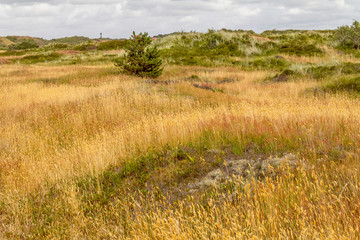 Spiekeroog in East Frisia