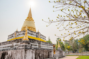 gold pagoda in temple