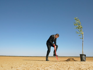 Businessman planting tree in desert