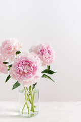 Beautiful pink peony bouquet in a vase on white background. Spring mood, romantic present