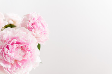 Lovely flowers on a light background. Beautiful bouquet of pink peonies. Floral composition, copy space. Wallpaper, greeting card, poster, floral shop concept