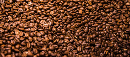 Blur image foe background : Roasted coffee bean background concept