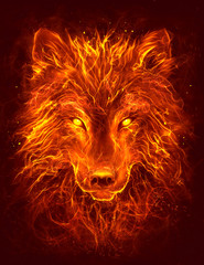 Flame wolf head - obrazy, fototapety, plakaty