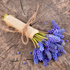 Blue muscari, bouquet of flowers on old wooden background. Bunch of hyacinth. 