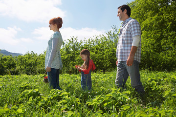 Fototapeta premium 14210047