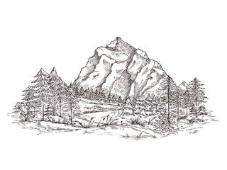 Mountain landscape sketch. Nature doodle drawing, valley panorama. Creative drawing hill, forest and rocks. Vintage vector illustration. Sketch landscape mountain, illustration graphic panorama doodle