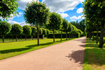 Formal garden in Catherine Park in Tsarskoye Selo, Pushkin, Russia