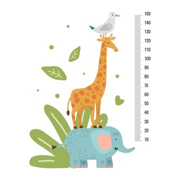 Naklejka Height measure. Measuring ruler children, growth scale for kindergarten, pediatric or school with giraffe. Vector animals wall sticker. Illustration stadiometer height, giraffe and animal