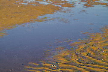 La bassa marea in inverno