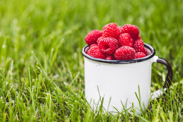 Raspberries in a cup on grass. Fall mood. Summer time. Copy space