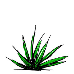 Modern gardening colorful drawing in sketch style.