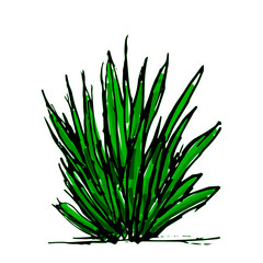 Creative colorful bush illustration in sketch style.