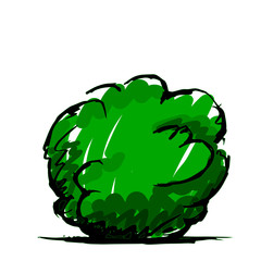 Modern garden bush illustration. Colorful hand drawn image.