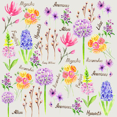 Pattern with watercolor flowers, summer , spring time, botanical art. Textile design.