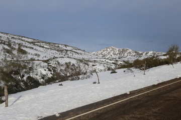 Paisaje nevado