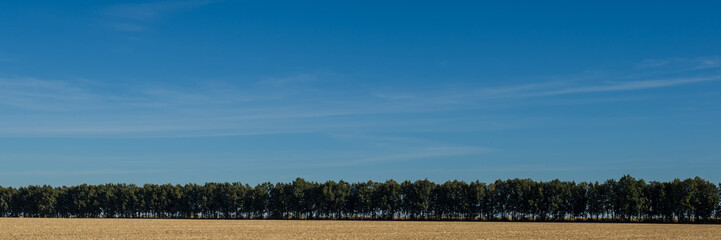 Fototapeta na wymiar Blue sky, deciduous forest and agricultural field after harvested crops. Web banner.