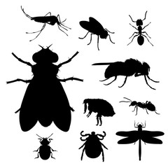 Vector silhouette of collection of insect on a white background. Symbol of parasites and fly bugs.