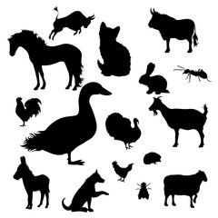 Vector silhouette of collection of farm animal on a white background. Symbol of creatures of cattle.