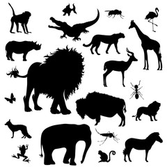 Vector silhouette of collection of wild animal on a white background. Symbol of creatures of Africa.